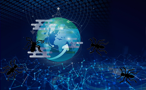 泰安網站制作一般有哪些功能，看完如釋負重